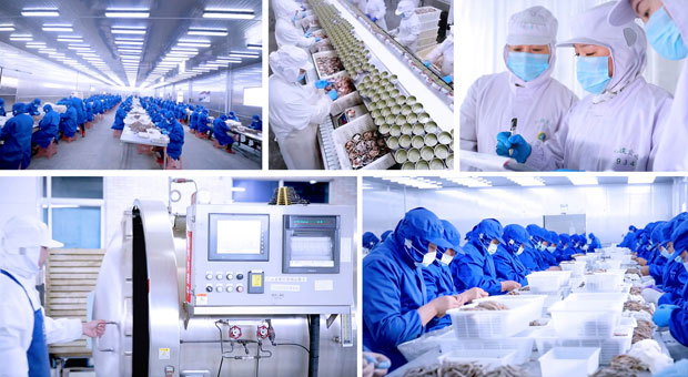 辽宁仁达设备科技有限公司