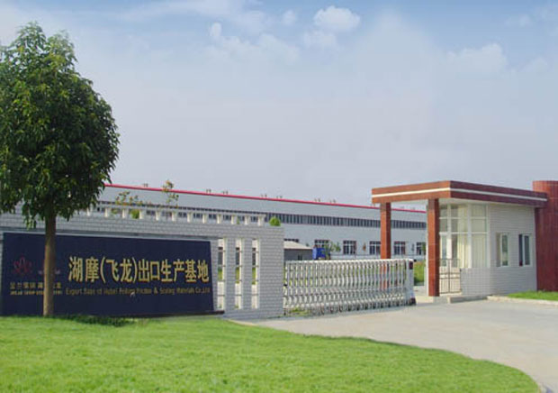 湖北飞龙摩擦密封材料股份有限公司