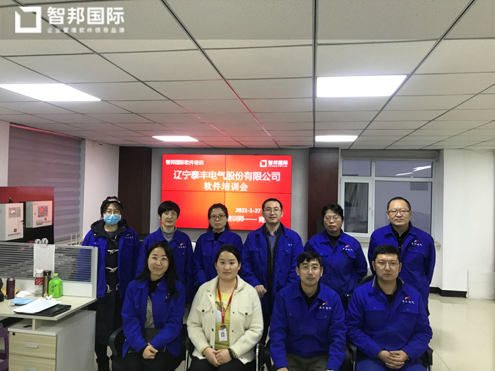 案例分享 | 泰丰电气：开启全流程一体化串联并联双协同，智连未来！