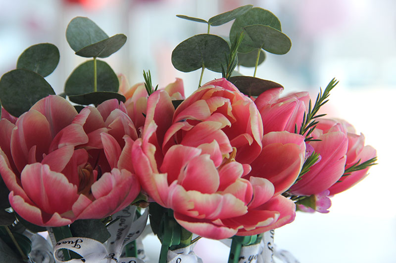 致最美女神：不负芳华，不负青春，最爱是你！