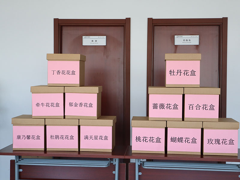 致最美女神：不负芳华，不负青春，最爱是你！