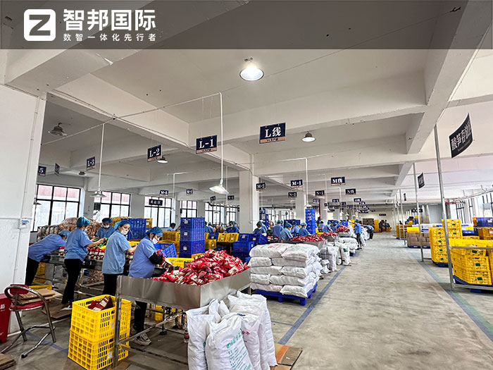 金亿达食品签约智邦国际,企业一体化加速高质量进程 金亿达食品签约智邦国际,企业一体化加速高质量进程